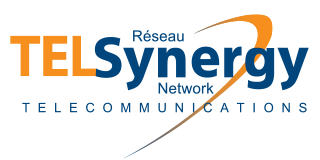 TelSynergy logo