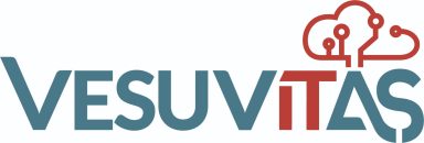 Logo of VesuviTas featuring a stylized cloud and circuit design in blue and red.