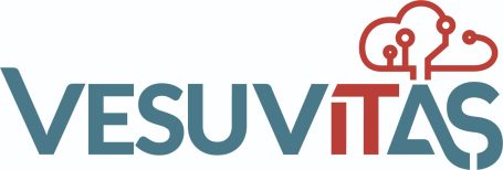 Logo of VesuviTas featuring a stylized cloud and circuit design in blue and red.